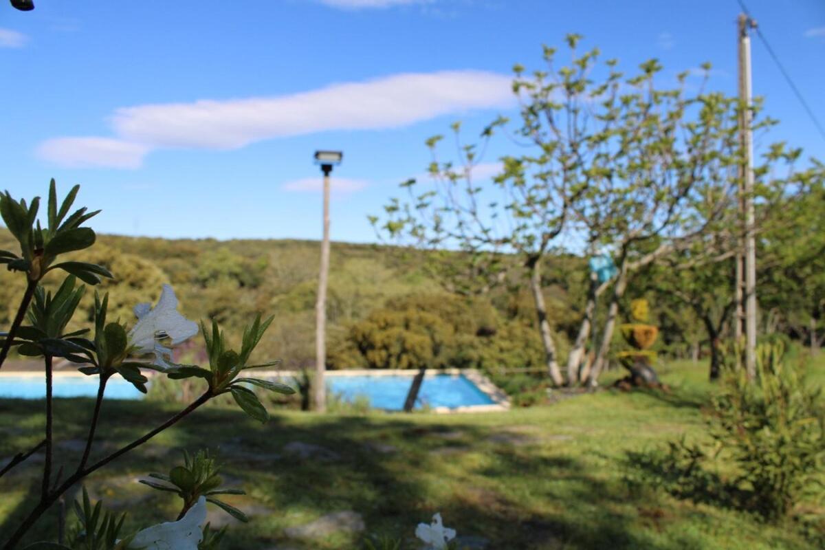 Quinta Da Devesa B1 Apartment วินญายช์ ภายนอก รูปภาพ